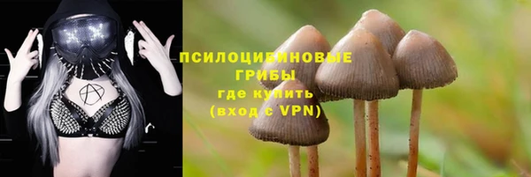 кристаллы Осташков