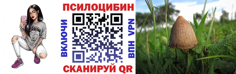 Псилоцибиновые грибы Psilocybine cubensis  Тюкалинск 